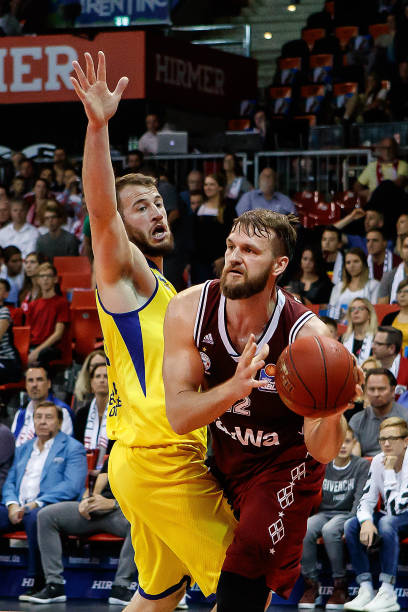 的替代品牌 的替代品牌