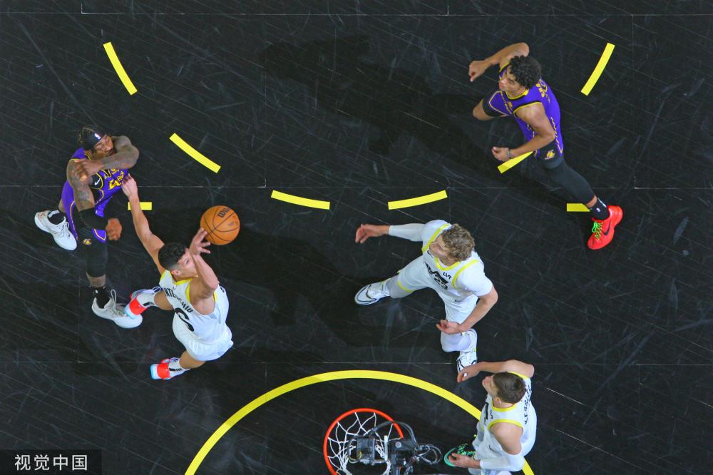 化机会为进 化机会为进